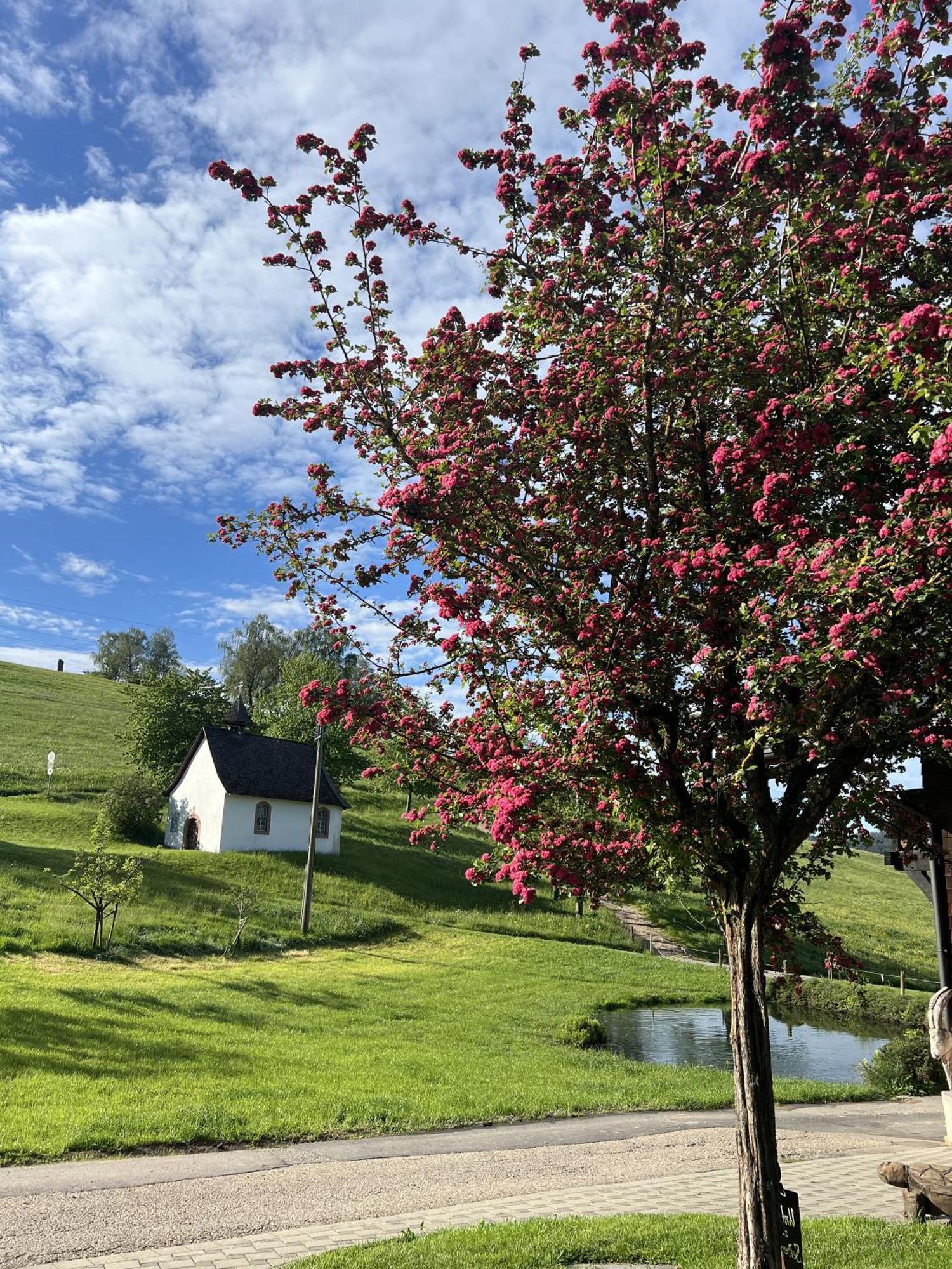 Kapellehof Ferienwohnungen Triberg im Schwarzwald Exteriér fotografie