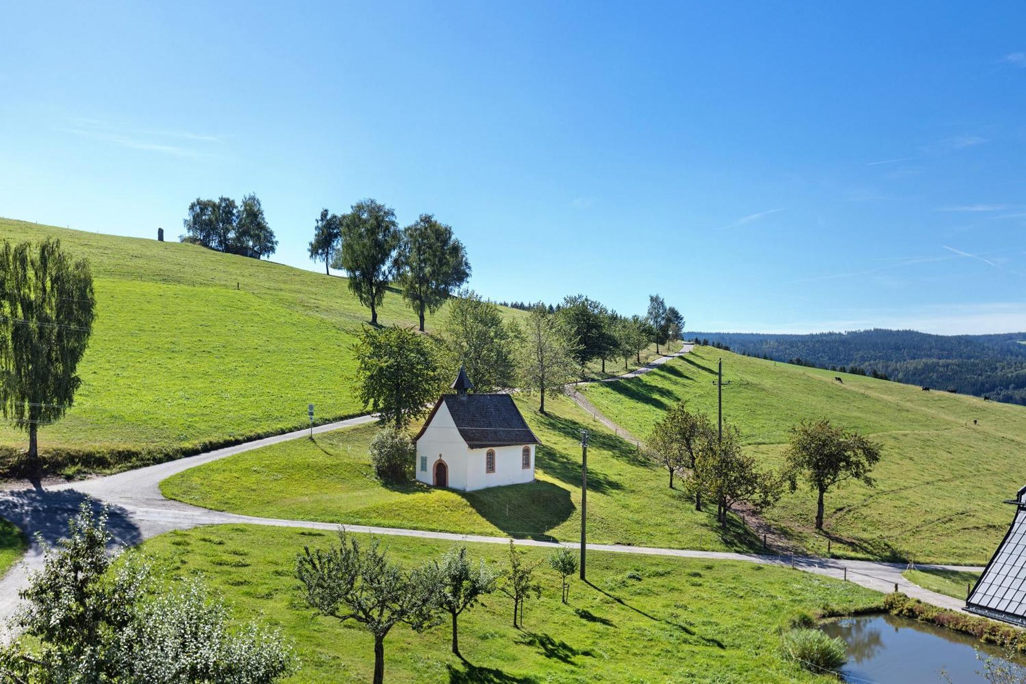 Kapellehof Ferienwohnungen Triberg im Schwarzwald Exteriér fotografie