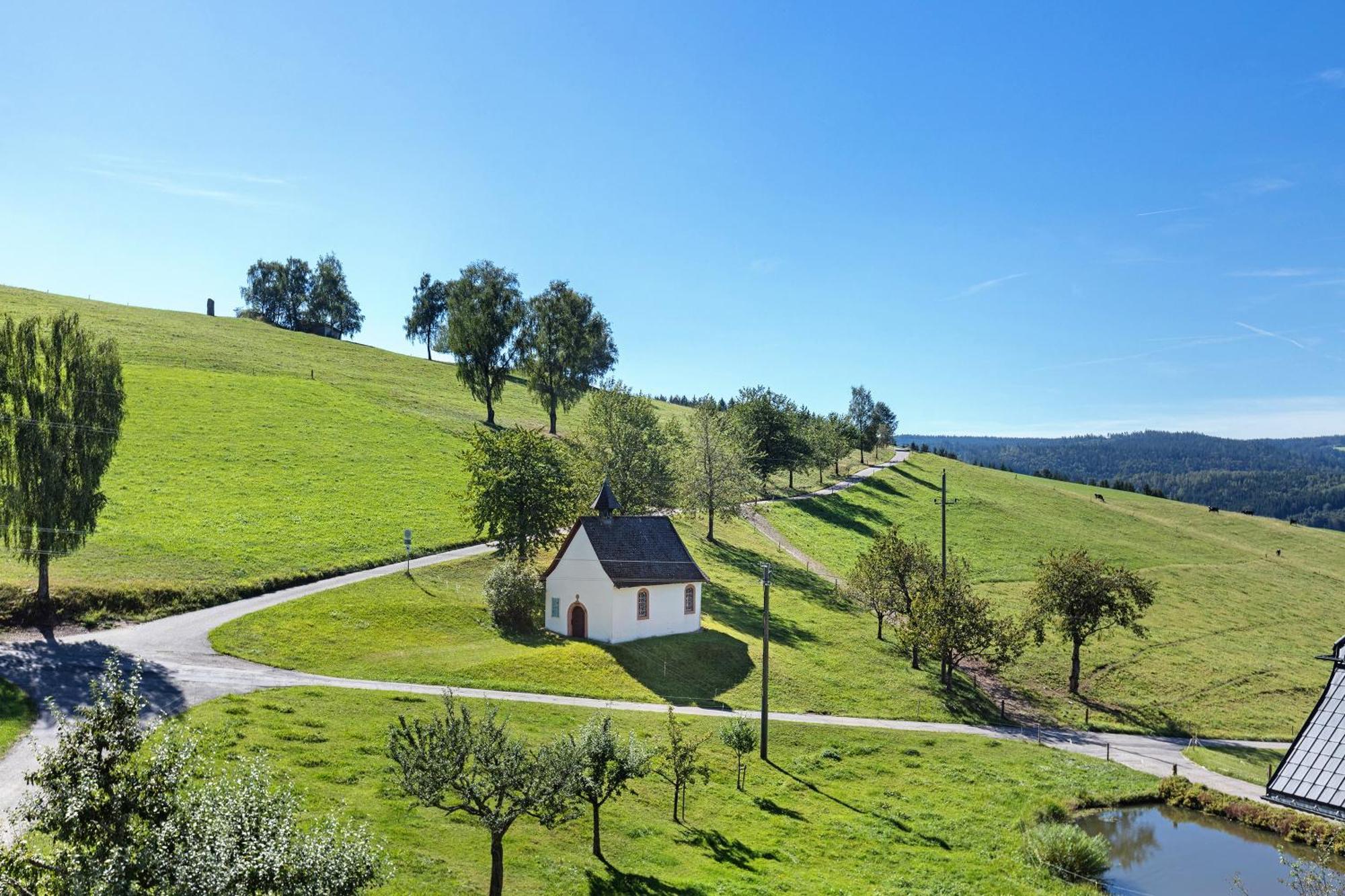 Kapellenhof Ferienwohnungen Triberg im Schwarzwald Exteriér fotografie